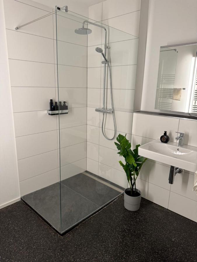 Isaak Appartment Stadtjuwel Waldshut-Tiengen Buitenkant foto