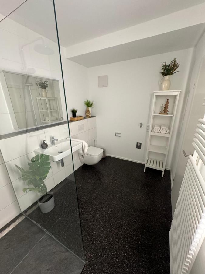 Isaak Appartment Stadtjuwel Waldshut-Tiengen Buitenkant foto