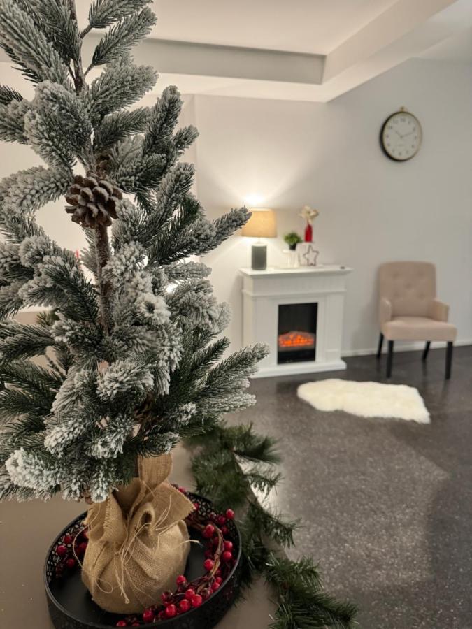 Isaak Appartment Stadtjuwel Waldshut-Tiengen Buitenkant foto