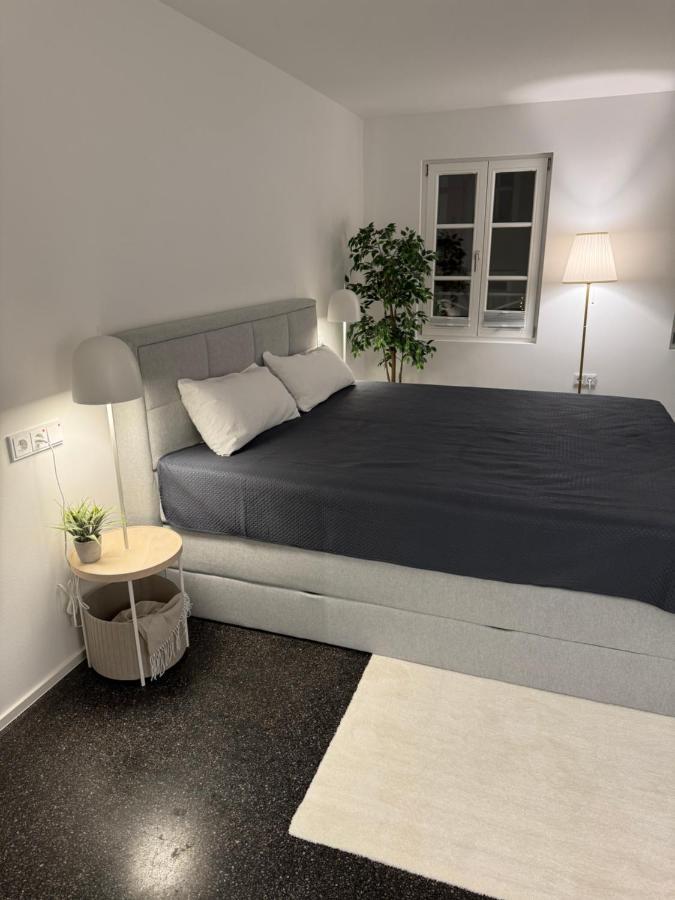 Isaak Appartment Stadtjuwel Waldshut-Tiengen Buitenkant foto