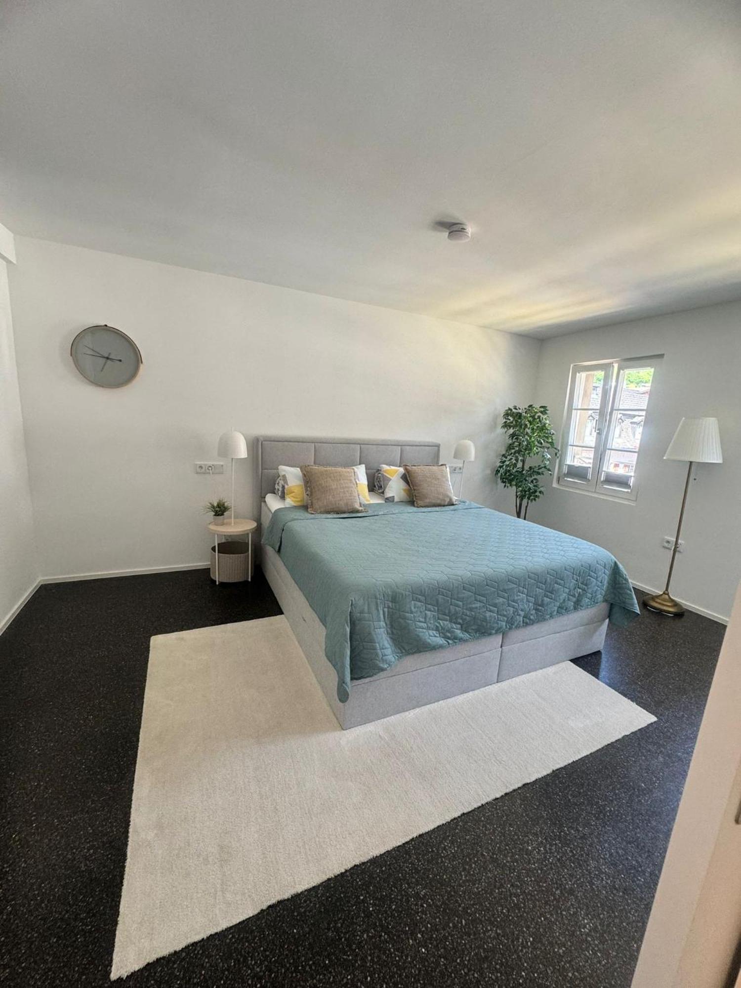 Isaak Appartment Stadtjuwel Waldshut-Tiengen Buitenkant foto